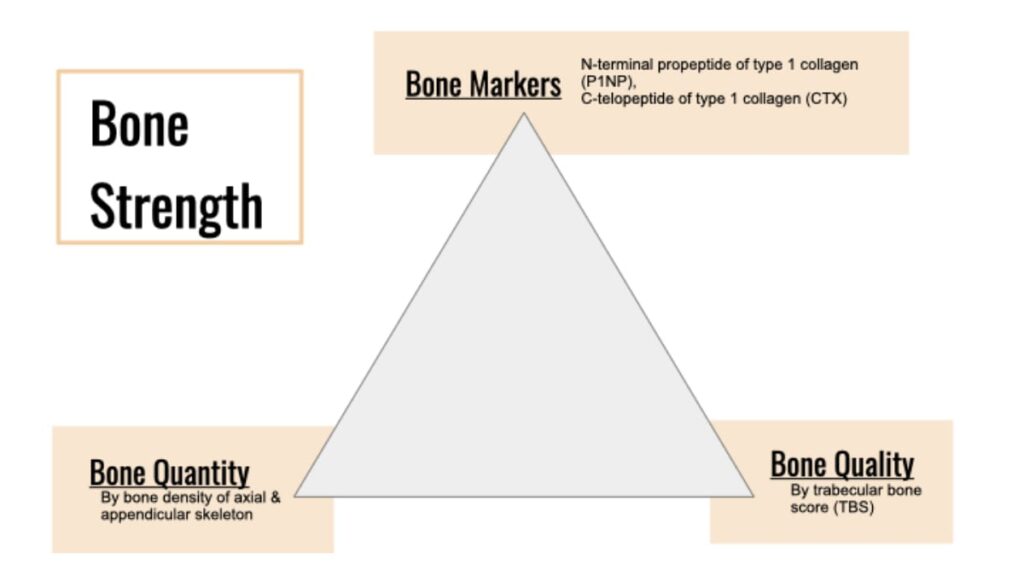 bone markers in osteoporosis
