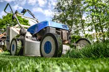 cutting grass knee replacement surgery guidelines