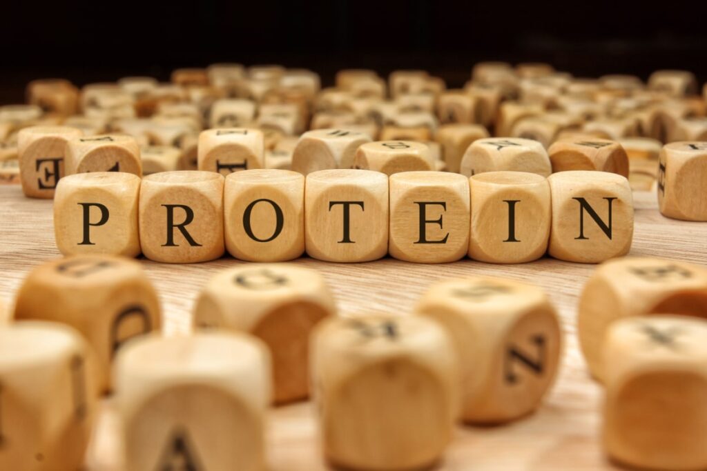 protein for osteoporosis and bone health